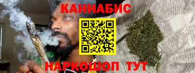 молекула духа Будённовск