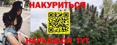 молекула духа Будённовск