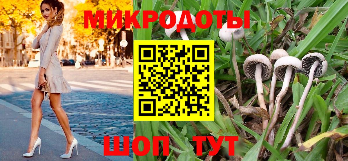Мариинск  Псилоцибиновые грибы мицелий  где найти   Вход с VPN 